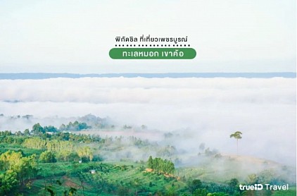 ทะเลหมอกเขาค้อ