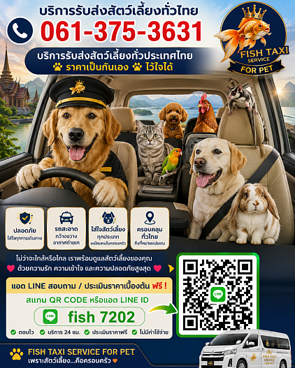 Pet on tours